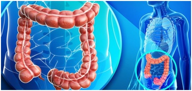Coloproctologia